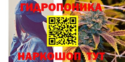 дмт Лесосибирск