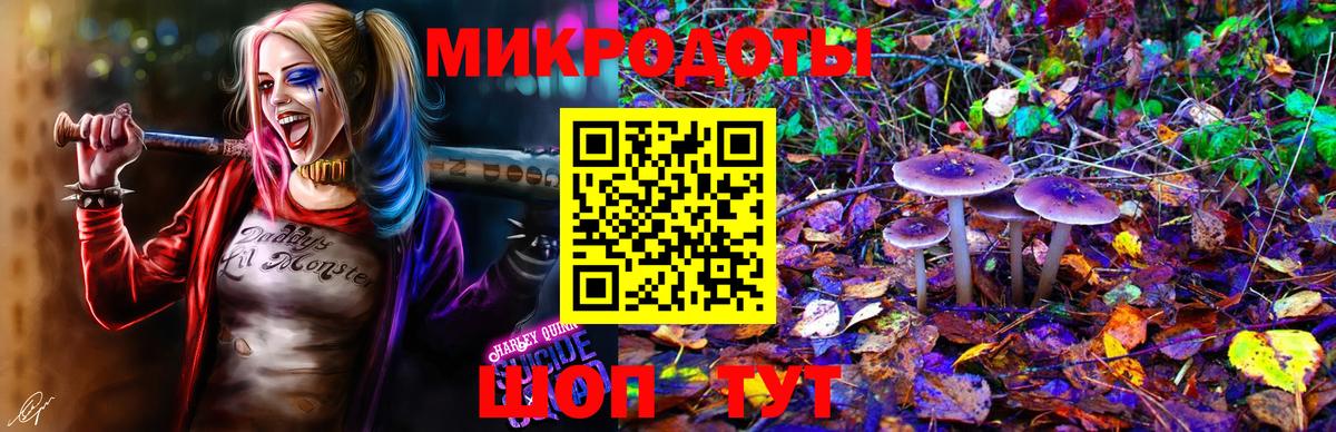 Псилоцибиновые грибы MAGIC MUSHROOMS Великий Новгород