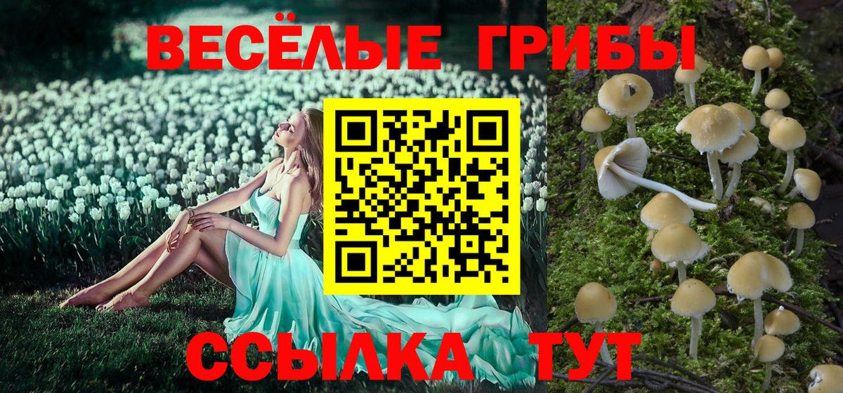Псилоцибиновые грибы Psilocybine cubensis  Вход с VPN  Великий Новгород 